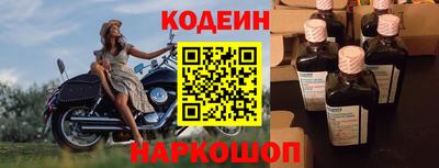 крисы Можга