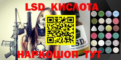 крисы Можга