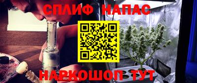 крисы Можга