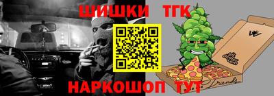 крисы Можга