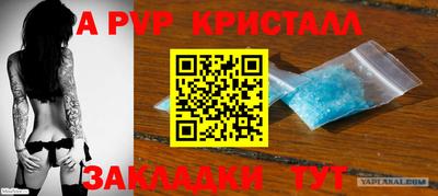 крисы Можга