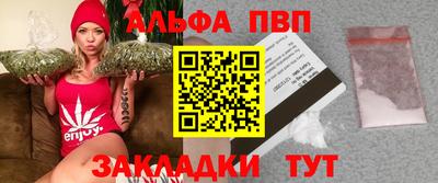 крисы Можга