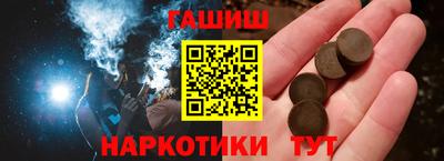 крисы Можга
