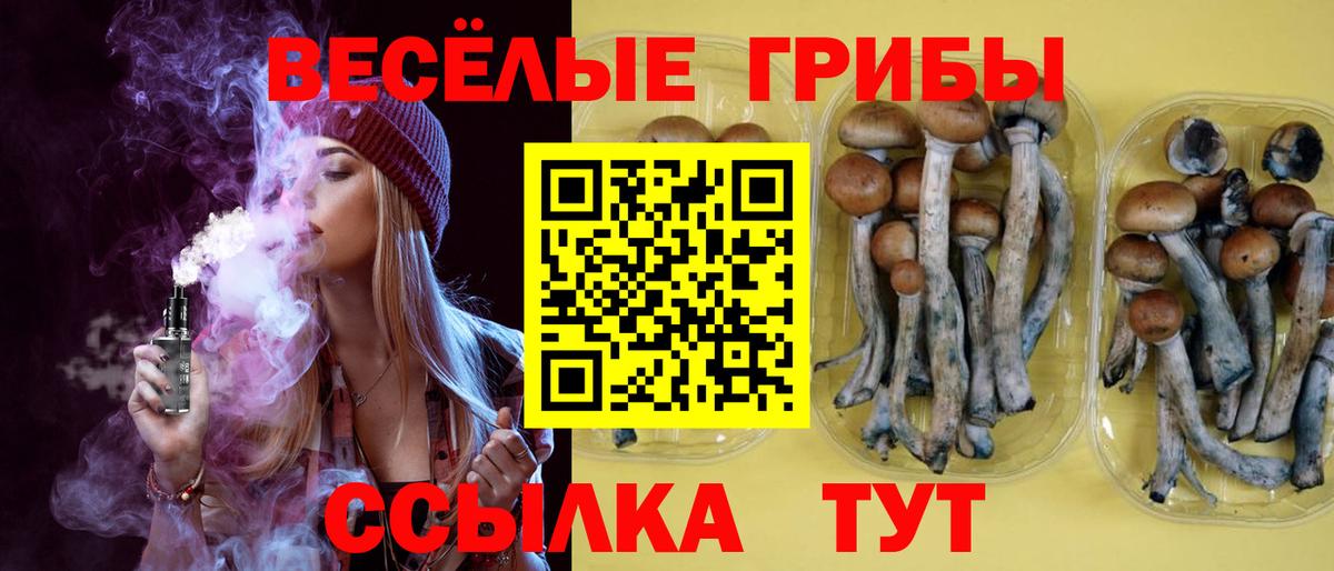 Галлюциногенные грибы ЛСД  Вход с VPN  купить  цена  Ставрополь 